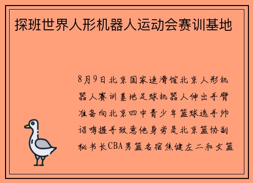 探班世界人形机器人运动会赛训基地
